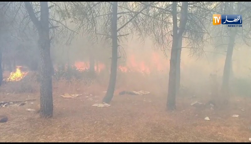 شاهد..هول الحريق بغابات “جبل الوحش” بقسنطينة ومساعي الحماية المدنية تتواصل لإخماده