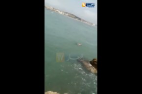 لحظة العثورعلى جثـ.ــة الشاب “سهيل” بشاطئ تارقة بعين تموشنت