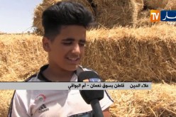 أم البواقي/ علاء الدين..إرادة متشبثة بخدمة الأرض