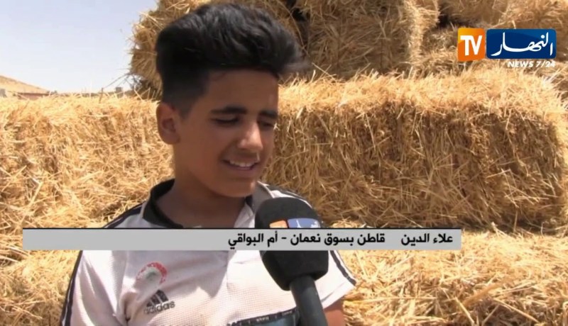 أم البواقي/ علاء الدين..إرادة متشبثة بخدمة الأرض