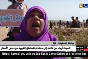 غزة: مسيرة العودة.. تواصل الحراك الجماهيري نحو تحقيق حلم العودة إلى الديار