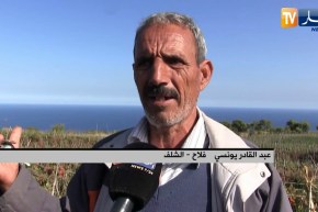 الشلف: خرجات ميدانية لإحصاء خسائر الفلاحين بفعل الحرائق الأخيرة