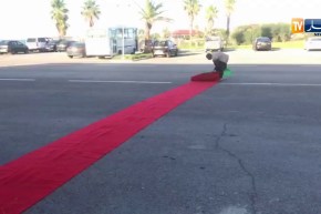 راغب في الترشح يتقدم للسلطة الوطنية المستقلة للإنتخابات بـ “بساط أحمر” كهدية