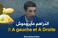 نائب مدير العمل التضامني:”وزيرة التضامن تسهر شخصيا على متابعة كلّ الملفات يوميّا !!”