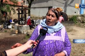 جزائريون:  قرية تاكوشت تحافظ على أقدم معاصر الزيتون النادرة بقرى تيزي وزو