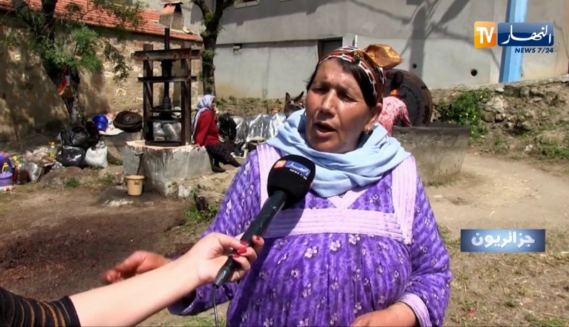 جزائريون:  قرية تاكوشت تحافظ على أقدم معاصر الزيتون النادرة بقرى تيزي وزو