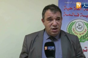 قالمة: برنامج من أجل ضمان تموين السوق الوطني بالبطاطا على مدار السنة