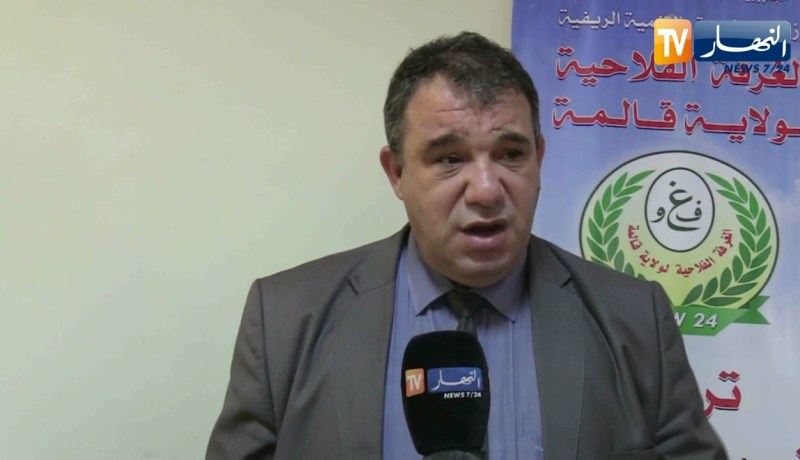 قالمة: برنامج من أجل ضمان تموين السوق الوطني بالبطاطا على مدار السنة