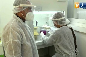 كورونـ.ـا بالجزائر.. 354 إصابـ.ـة و9 وفيـ.ـات خلال 24 ساعة الأخيرة