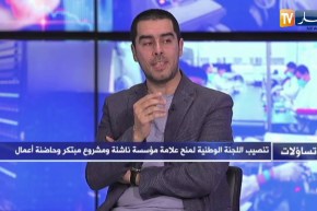 تساؤلات: المؤسسات الناشئة انطلاقة جديدة لدعم الإقتصاد الوطني