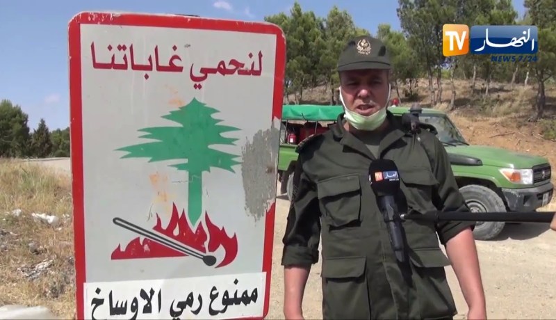 ميلة: خطر الإعتداءات البشرية على الغابات ودوريات يومية للمراقبة الميدانية