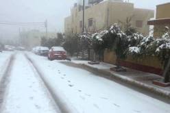 ثلوج وأمطار على المناطق الشمالية بداية من اليوم!
