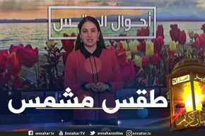 طقس: إستقرار تام في الوضعية الجوية أجواء ربيعية على أغلب المناطق الشمالية