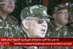 الفريق أحمد قايد صالح يواصل زيارته إلى الناحية العسكرية السادسة بتمنراست