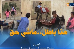 تيسمسيلت : قافلة حمير لنقل تلاميذ دوار سيدي لحسن إلى المدرسة !