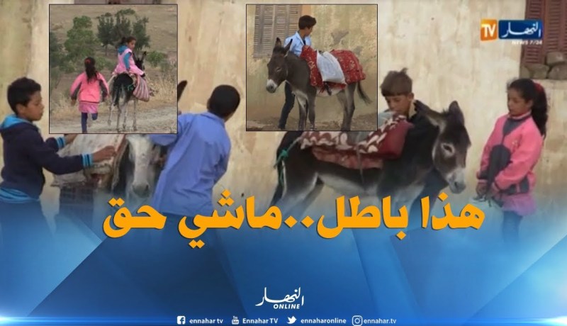 تيسمسيلت : قافلة حمير لنقل تلاميذ دوار سيدي لحسن إلى المدرسة !
