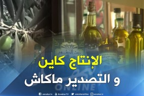 فلاحة: شعبة زيت الزيتون.. إنتاج وفير وضعف في سلسلة التصدير