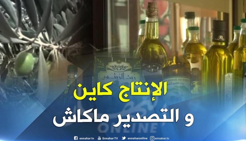 فلاحة: شعبة زيت الزيتون.. إنتاج وفير وضعف في سلسلة التصدير