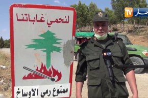 ميلة: خطر الإعتداءات البشرية على الغابات ودوريات يومية للمراقبة الميدانية