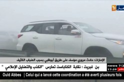 الإمارات: حادث مروري مؤسف على طريق أبو ظبي بسبب الضباب الكثيف
