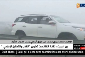 الإمارات: حادث مروري مؤسف على طريق أبو ظبي بسبب الضباب الكثيف
