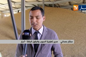 أدرار: غياب الدعم ونقص الأعلاف.. مشاكل تعرقل نشاط مربي المواشي