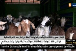 غليزان: مديرية النشاط الإجتماعي توزع 100 إعانة في إطار دعم الأسرة المنتجة