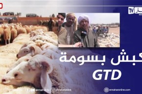 أسعار ملتهبة لأضاحي العيد ..والموالون يبررون الغلاء بأزمة الأعلاف والجفاف