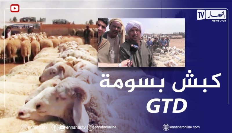 أسعار ملتهبة لأضاحي العيد ..والموالون يبررون الغلاء بأزمة الأعلاف والجفاف