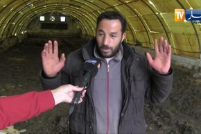 تيزي وزو: خسائر معتبرة لفلاحي قرية إمالوسان بسبب الفيضانات الأخيرة