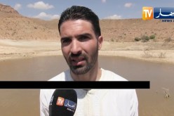 المسيلة: نفوق المئات من الأسماك بسد بئر الصديق يسبب كارثة بيئية