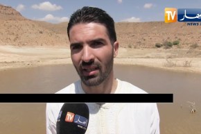 المسيلة: نفوق المئات من الأسماك بسد بئر الصديق يسبب كارثة بيئية