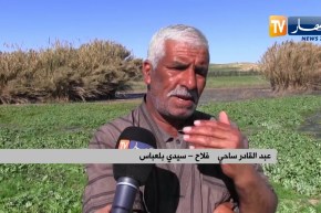 سيدي بلعباس: مياه الصرف الصحي تفسد 4 هكتارات من أرض زراعية