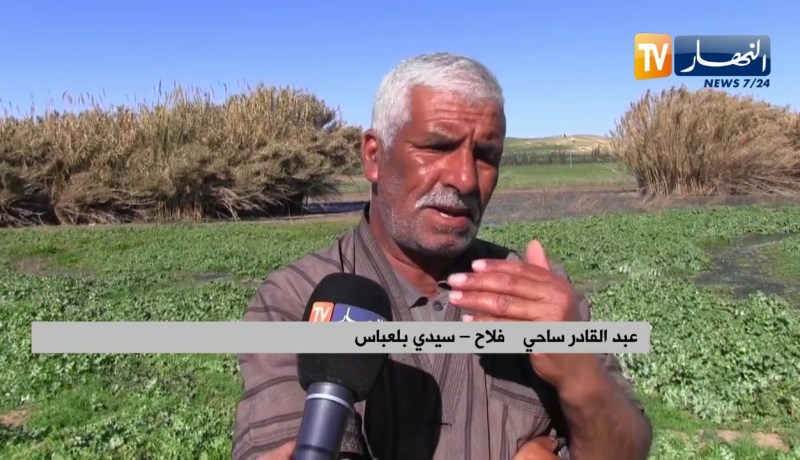 سيدي بلعباس: مياه الصرف الصحي تفسد 4 هكتارات من أرض زراعية