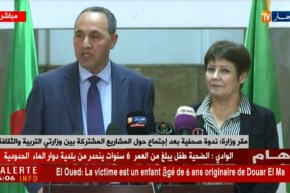 وزير الثقافة: “تضمين المناهج الدراسية للمحتوى الأدبي الجزائري”