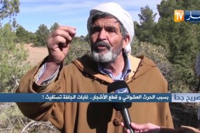 صريح جدا: بسبب الحرث العشوائي وقطع الأشجار.. غابات الجلفة تستغيث