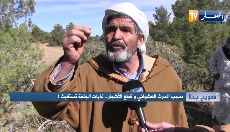 صريح جدا: بسبب الحرث العشوائي وقطع الأشجار.. غابات الجلفة تستغيث