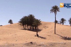 طقس : إستمرار في إرتفاع درجات الحرارة بالمناطق الجنوبية