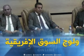 تجارة : الإستعداد لولوج السوق الإفريقية عبر إجراءات وإمتيازات جديدة