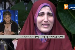 جمعيات وبياطرة بصوت واحد..أوقفوا تعذيب الحيوانات !!
