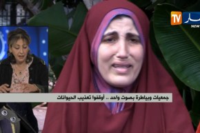 جمعيات وبياطرة بصوت واحد..أوقفوا تعذيب الحيوانات !!