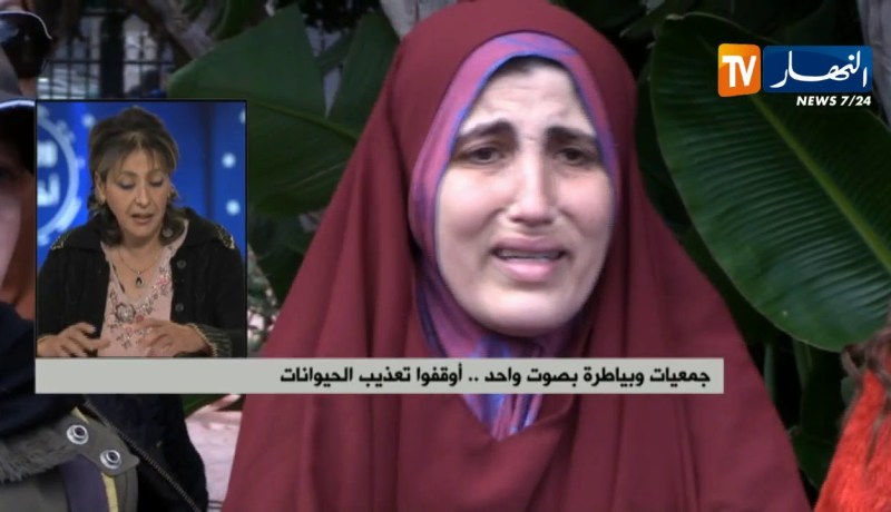 جمعيات وبياطرة بصوت واحد..أوقفوا تعذيب الحيوانات !!