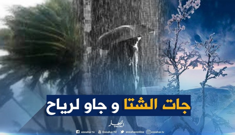 ثلوج كثيفة , أمطار غزيرة وجو بارد / حالة الطقس لظهيرة يوم الخميس 10/01/2019