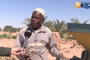 أدرار: زايد براح.. فلاح يبتكر طريقة لتحويل بقايا النخيل إلى أعلاف للمواشي