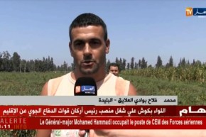 البليدة/ فلاحون بوادي العلايق يتكبدون خسائر كبيرة بسبب ظهور دودة غريبة وحشرات