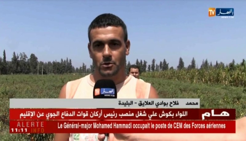 البليدة/ فلاحون بوادي العلايق يتكبدون خسائر كبيرة بسبب ظهور دودة غريبة وحشرات