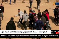 الو.م.أ تجهض مساعي تشكيل لجنة تحقيق لملابسات قتل جيش الإحتلال لعدد من الفلسطينيين في ذكرى يوم الأرض