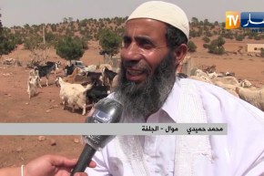 الجلفة: أزمة كورونا تعرقل نشاط الموالين قبل أيام من عيد الأضحى