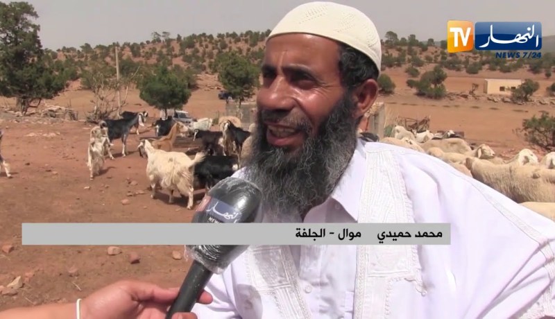 الجلفة: أزمة كورونا تعرقل نشاط الموالين قبل أيام من عيد الأضحى