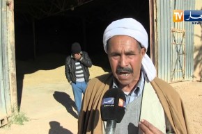 بسكرة: موالون يمنعون من الشعير ومخازن ممتلئة يهددها التسوس